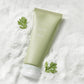 Graymelin Mugwort Pure Foam Cleanser
