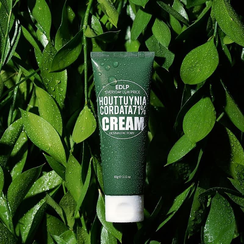 Derma Factory Houttuynia Cordata 71% Cream