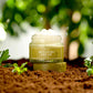 I’m From Mugwort Cream 50g